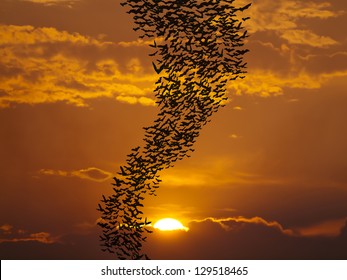 Bats flying against sun and golden sky may use for horrible theme or halloween theme - Shutterstock ID 129518465