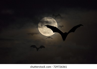 374 Fox on full moon Images, Stock Photos & Vectors | Shutterstock