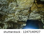 Bats on the ceiling of th