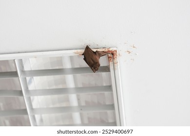 Bats are sleeping on the ceiling.