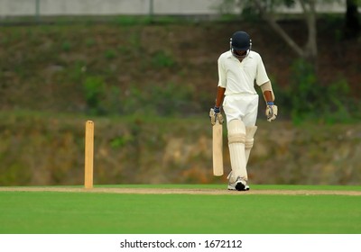 Cricket Umpire Images, Stock Photos & Vectors  Shutterstock