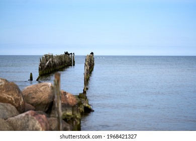 Battered wooden piles of the old pier in the Baltic Sea, leaving the horizon - Powered by Shutterstock