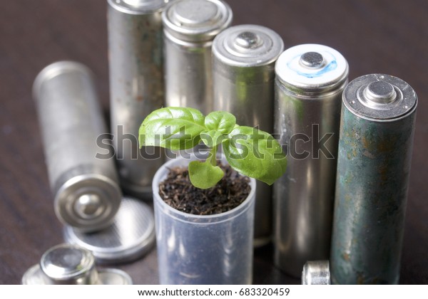 Batteries and green sprout. Recycling and
disposal of batteries. Care for
ecology.