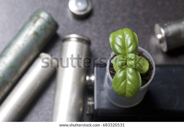 Batteries and green sprout. Recycling and\
disposal of batteries. Care for\
ecology.