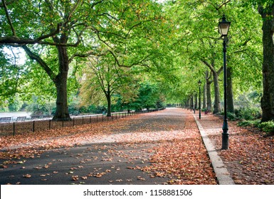 Battersea Park In The Autumn