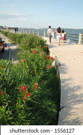 The Battery In Charleston SC