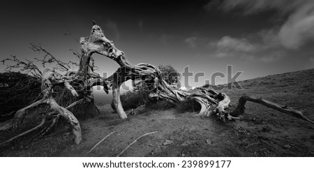 Similar – Image, Stock Photo Stranded I Environment