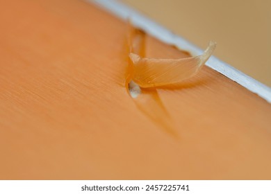 Battle Worn: Detailed Image of a Worn-Out Snowboard Surface: Capturing the Scratches on a Snowboard's Base - Powered by Shutterstock