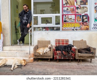 Batumi, Georgia. 10..07.2022 Dogs Lie On A Chair On The Street. Advertising For A Furniture Store. Homeless Dogs. Yard At The Shop Selling Armchairs. Animal Rest. Humor. Old Armchairs
