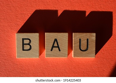 BAU, Acronym For Business As Usual, Meaning Nothing New To Report