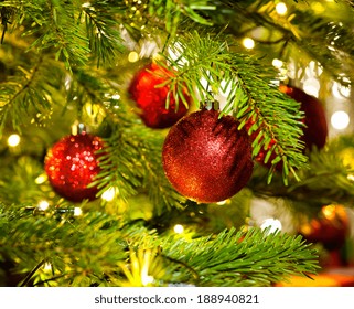 Bauble Ornament In A Real Christmas Tree In Bright Color