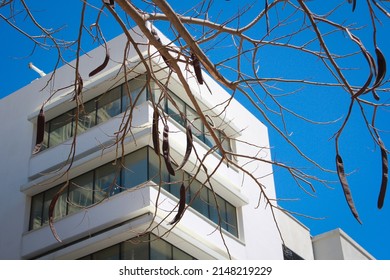 Bauhaus Building In Tel Aviv