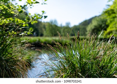 Bautiful Little Lake In The Natural Reserve Of Schönbuch