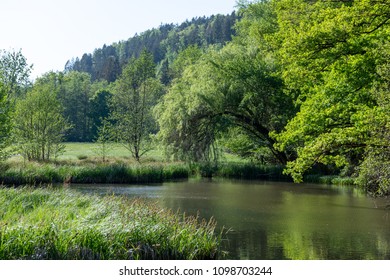 Bautiful Little Lake In The Natural Reserve Of Schönbuch