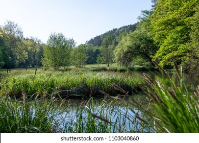 Bautiful Little Lake In The Natural Reserve Of Schönbuch