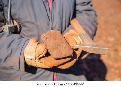 Bauxite Ore Specimen Sample Raw Mineral With Hammer In Miner Geologyst Hands