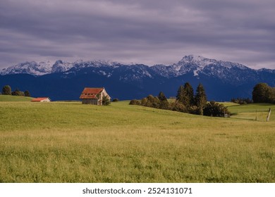 Bavaria, Germany - September 15, 2024 - A small wooden barn stands on a lush green field with snow-capped mountains in the background under a cloudy sky, creating a rural alpine scene. - Powered by Shutterstock