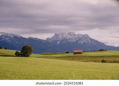 Bavaria, Germany - September 15, 2024 - A solitary barn with a red roof sits on a green meadow with a backdrop of snow-capped mountains and cloudy skies, creating a serene rural scene. - Powered by Shutterstock