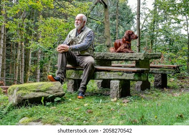 In the Bavarian Forest, a hiker takes a rest on a stone bench and enjoys the silence on this dreary autumn day. His cheeky Irish Setter dog has laid down on the table.