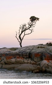 The Bay Of Fires, East Coast Tasmania.