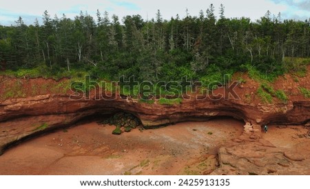 Bay of Fundy cliffs during low tide with pine tree forest and caves on shore