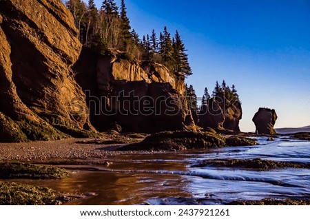 Bay of Fundy. The bay is home to rare and endangered whales, such as the North Atlantic right whale, the humpback, and the finback.