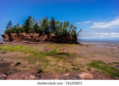 Bay Of Fundy Low Tide