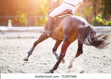 Bay horse with rider galloping on show jumping competition. Equestrian sport background