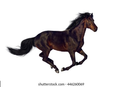 Bay horse run gallop isolated on white
