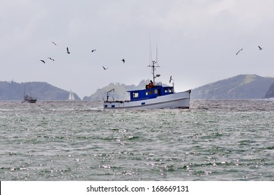 BAY OF ISLANDS, NZ - DEC 12 2013: Fishing Boat.NZ Exclusive Economic Zone Covers 4.1 Million Km2,It's The 6th Largest Zone In The World And 14 Times The Size Of NZ