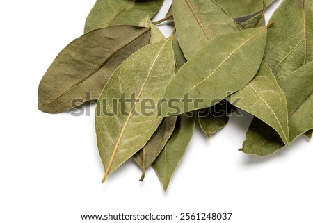 Bay leaf on white background