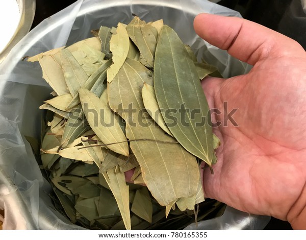 Bay Leaf Bay Leaf Refers Aromatic Royalty Free Stock Image