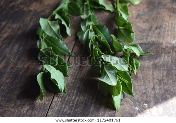 Bay Leaves Cooking Stock Photo Edit Now 1172481961