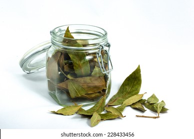 bay leaves in a glass jar with white background