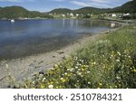 Bay at Norris Point near Gros Morne National Park, Newfoundland