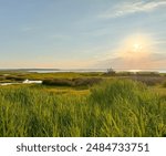 The Bay, Ocean City Maryland USA