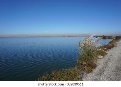 The Bay Trail Near Sunnyvale, California