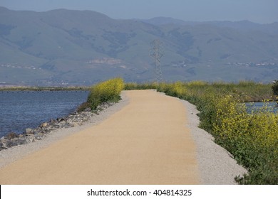 The Bay Trail, Sunnyvale, California