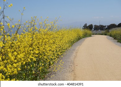 The Bay Trail, Sunnyvale, California