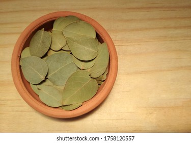 
Bay Tree Or Sweet Bay In Clay Bowl On Wooden Background With Copy Space. 