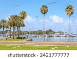 Bay with yachts and seagulls in St. Petersburg, Florida, USA