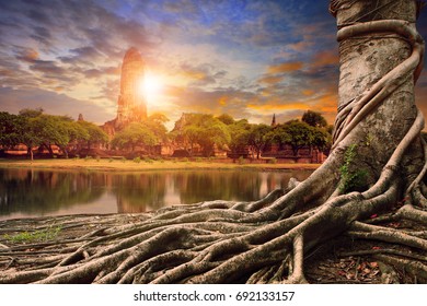 bayan tree   and sunset behind old asia pagoda - Powered by Shutterstock