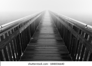 Baylands Nature Preserve Boardwalk in Thick Morning Fog. Palo Alto, Santa Clara County, California, USA. - Powered by Shutterstock