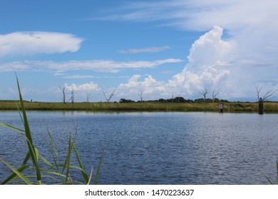 Bayou Lafourche And The Marsh Near Leeville, La.