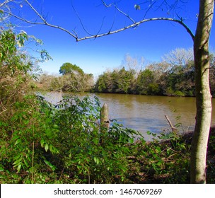       Bayou Lafourche As It Runs Through Cut Off, Louisiana.                        