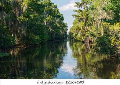 bayou of mississippi river delta region in jean lafitte national park near new orleans louisiana 