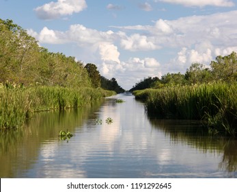 Bayou Tour At Jean Lafitte Swamp