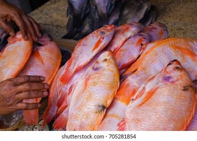 Bazurto / Basurto Local Market In Cartagena Colombia