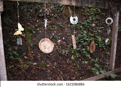 BB Gun Target Practice Range In The Forest.