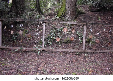 BB Gun Target Practice Range In The Forest.